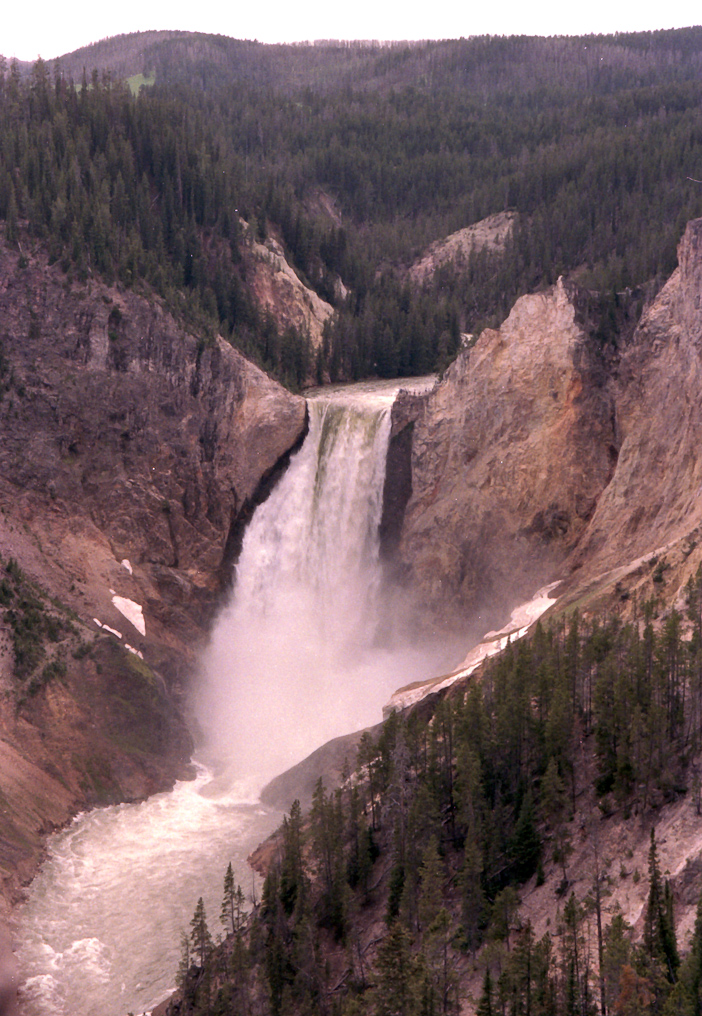 Lower Falls   Yellowstone National Park