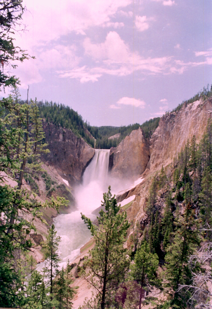 Lower Falls   Yellowstone National Park