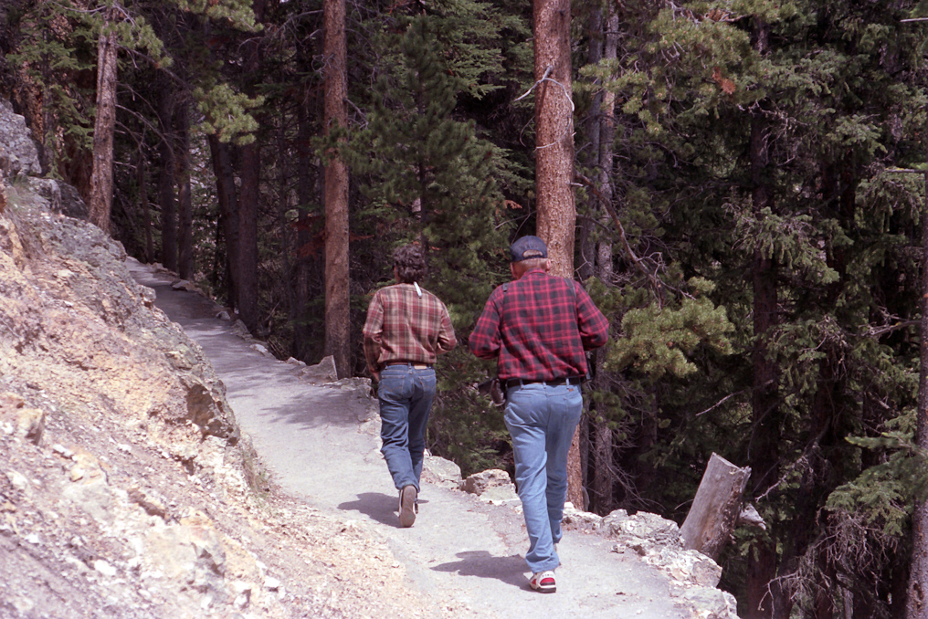 Trail to the Brink of the Lower Falls   Yellowstone National Park