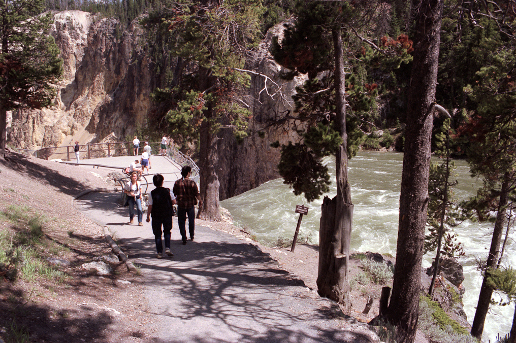    Brink of the Lower Falls, Yellowstone National Park