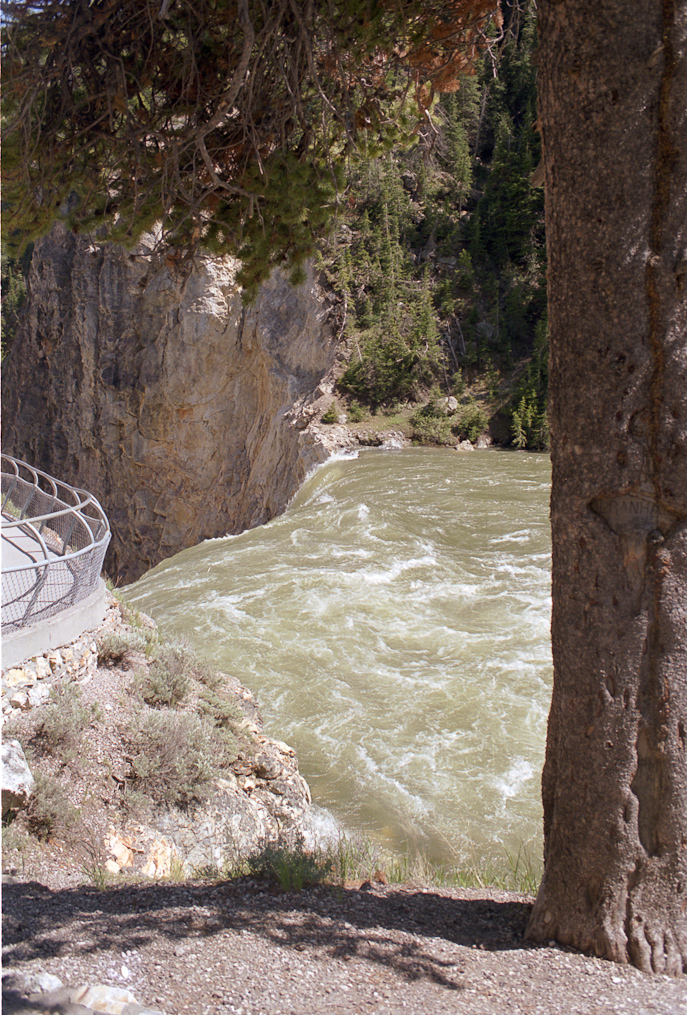    Brink of the Lower Falls, Yellowstone National Park