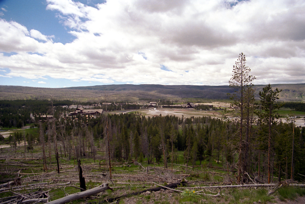 View from Observation Point   Upper Geyser Basin, Yellowstone National Park