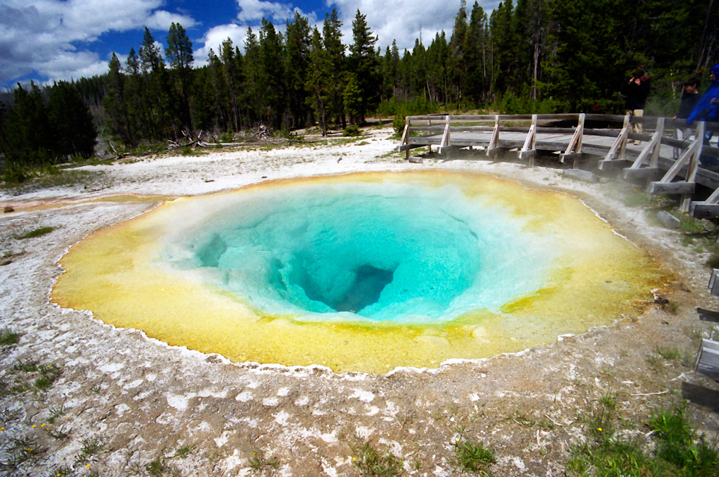 Morning Glory Pool   Upper Geyser Basin, Yellowstone National Park