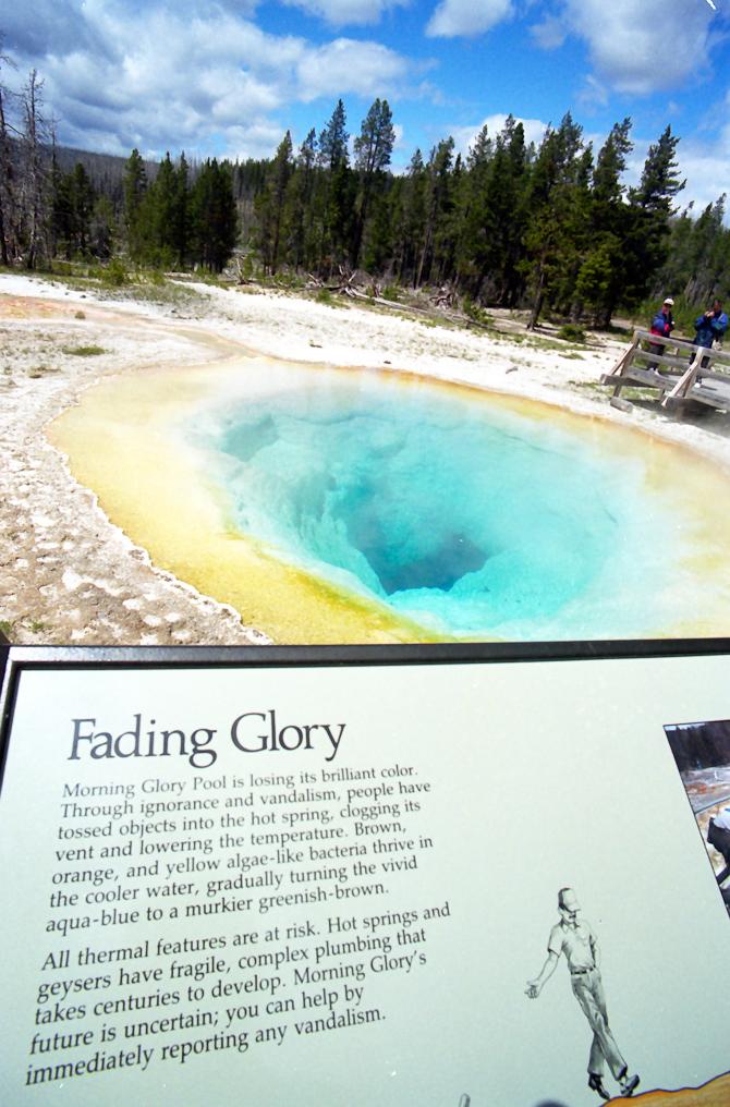 Morning Glory Pool   Upper Geyser Basin, Yellowstone National Park
