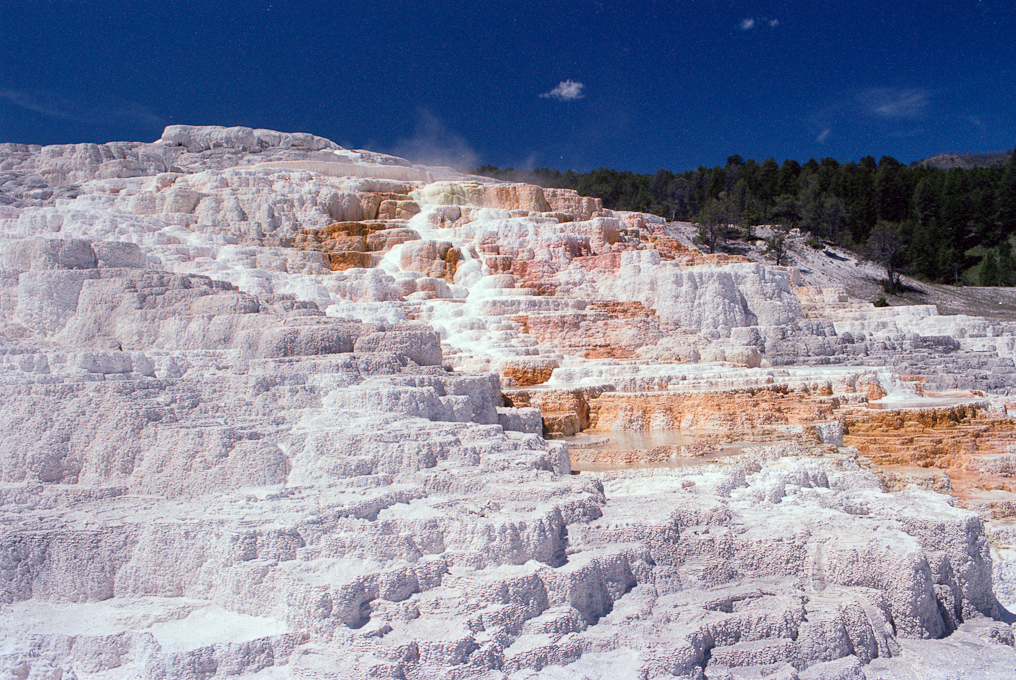    Mammoth Hot Springs Area, Yellowstone National Park