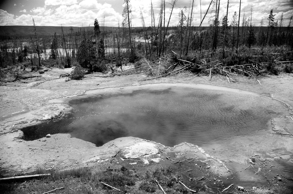    Norris Geyser Basin, Yellowstone National Park