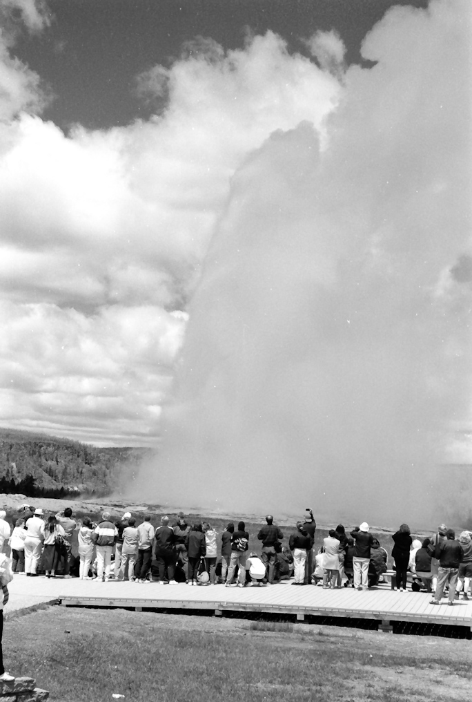 Old Faithful Geyser   Upper Geyser Basin, Yellowstone National Park