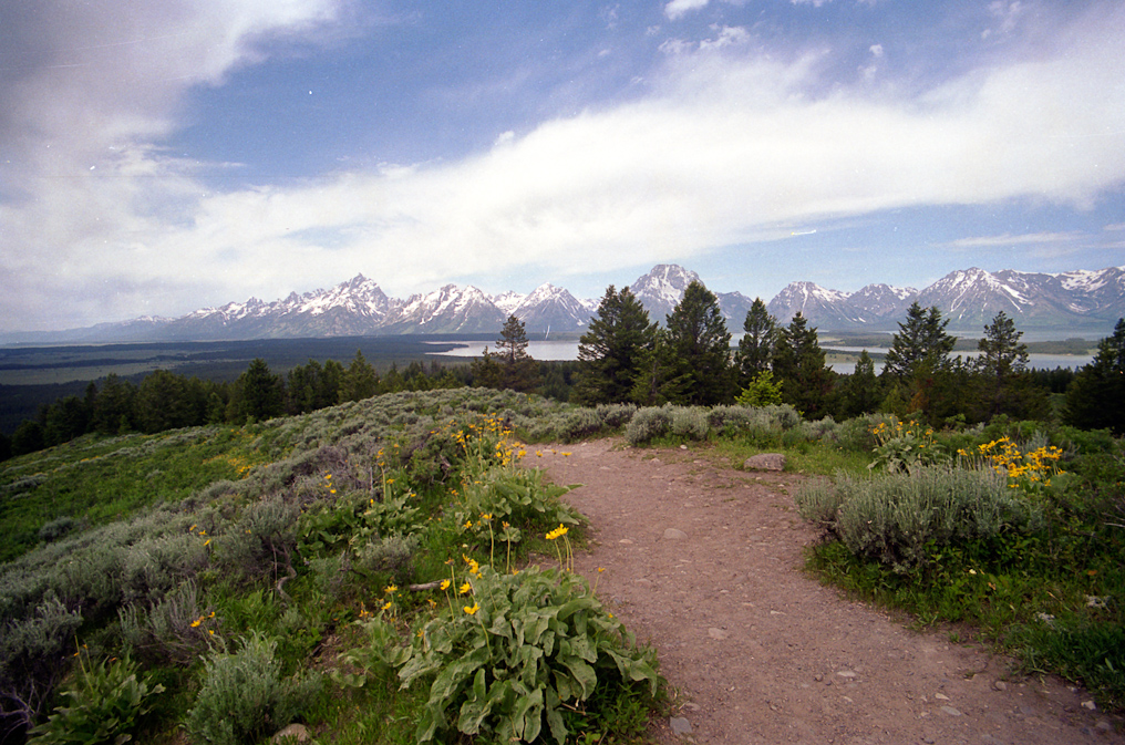 Signal Mountain   Grand Teton National Park