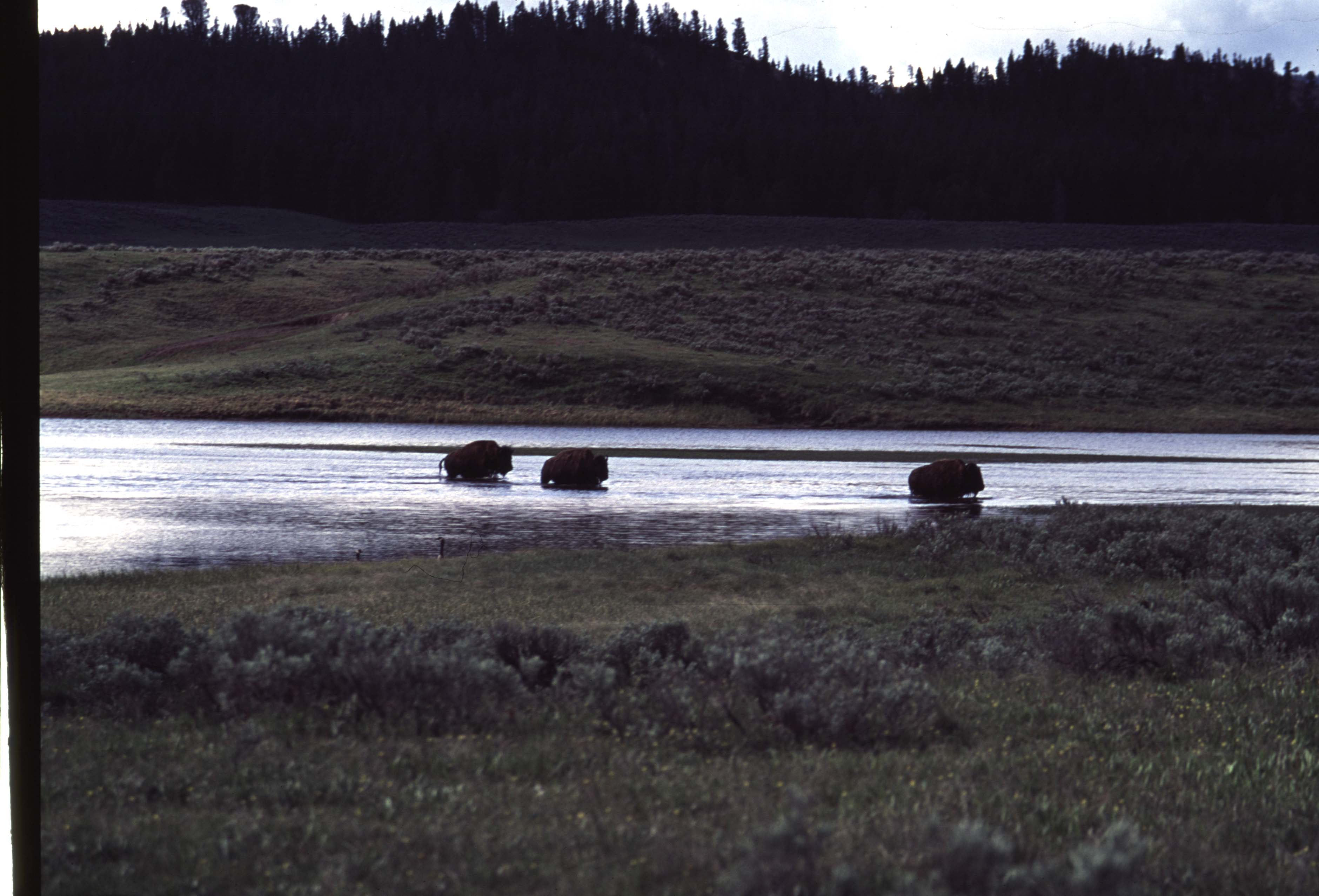 000613 H05 Bison Crossing River