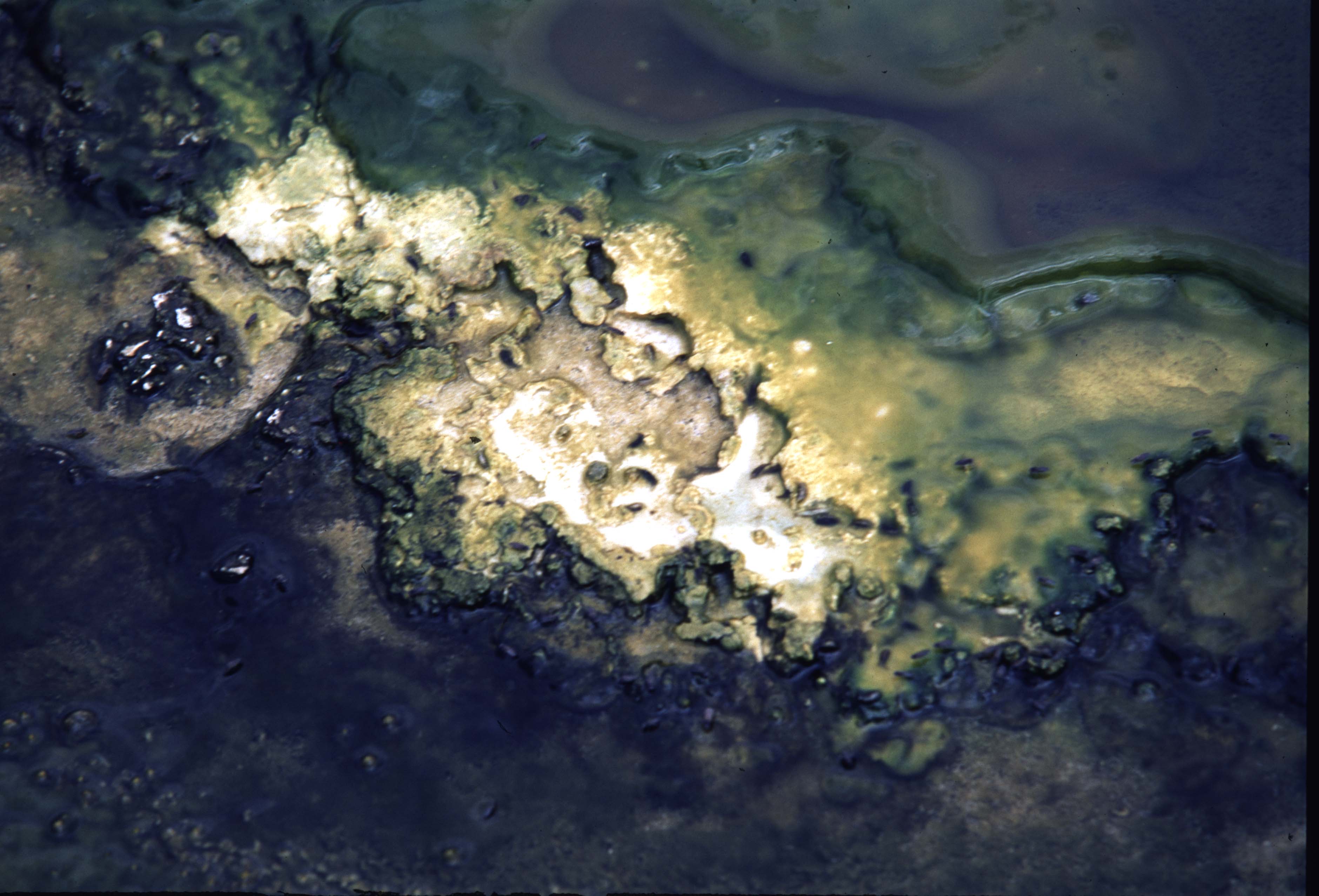 000614 I24 Upper Basin