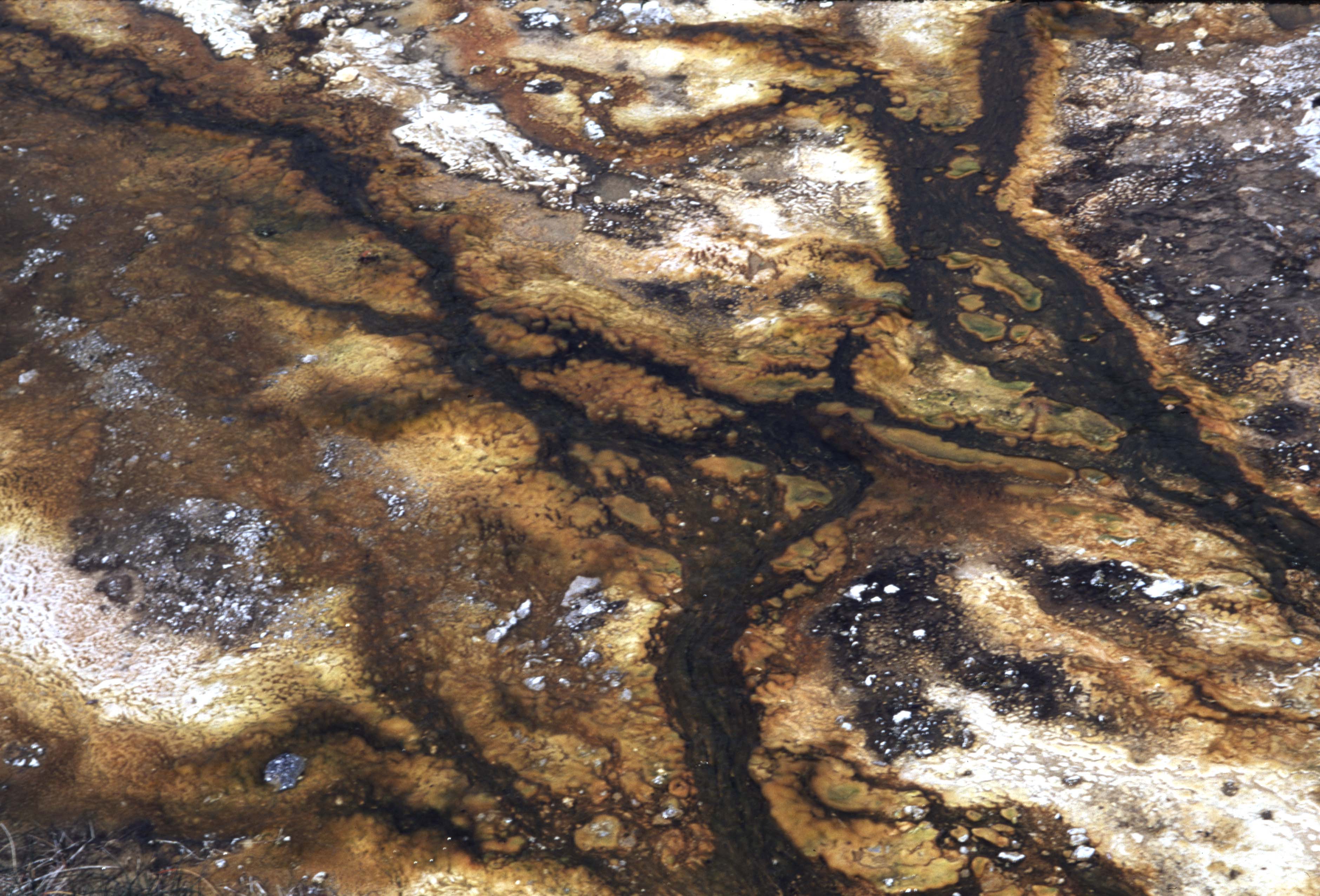 000614 I27 Upper Basin