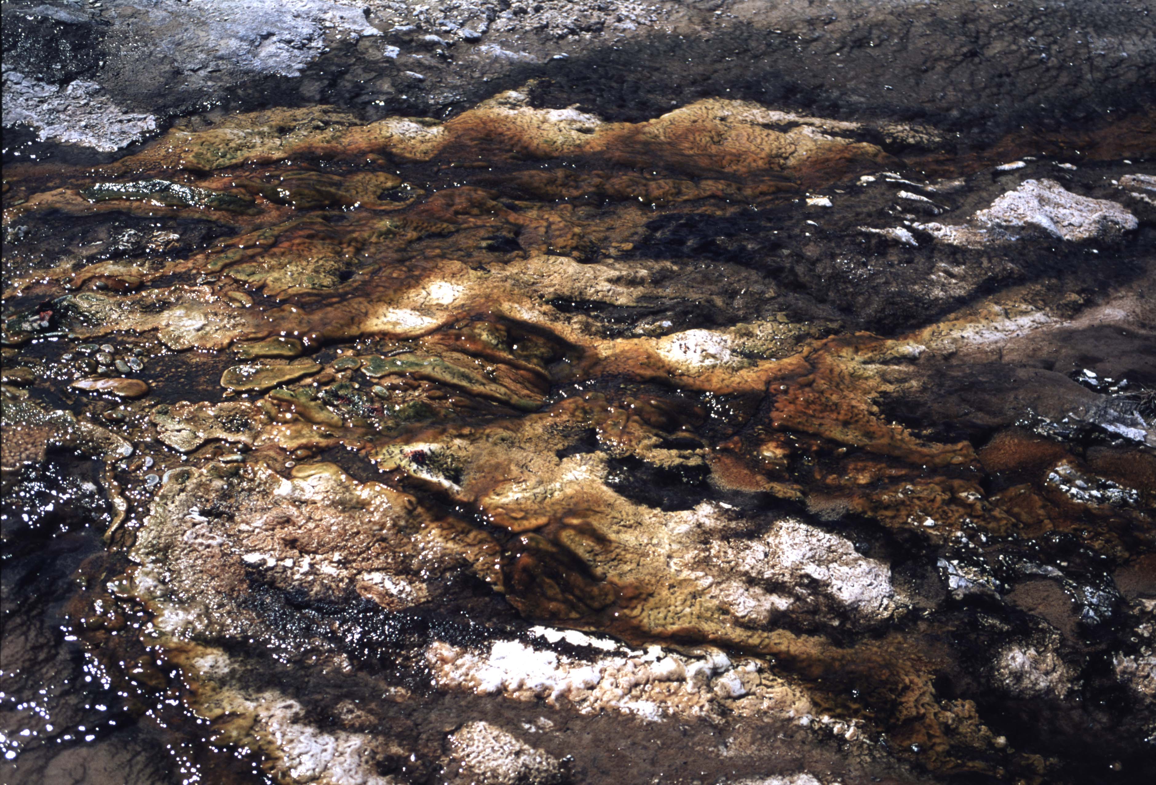 000614 I29 Upper Basin