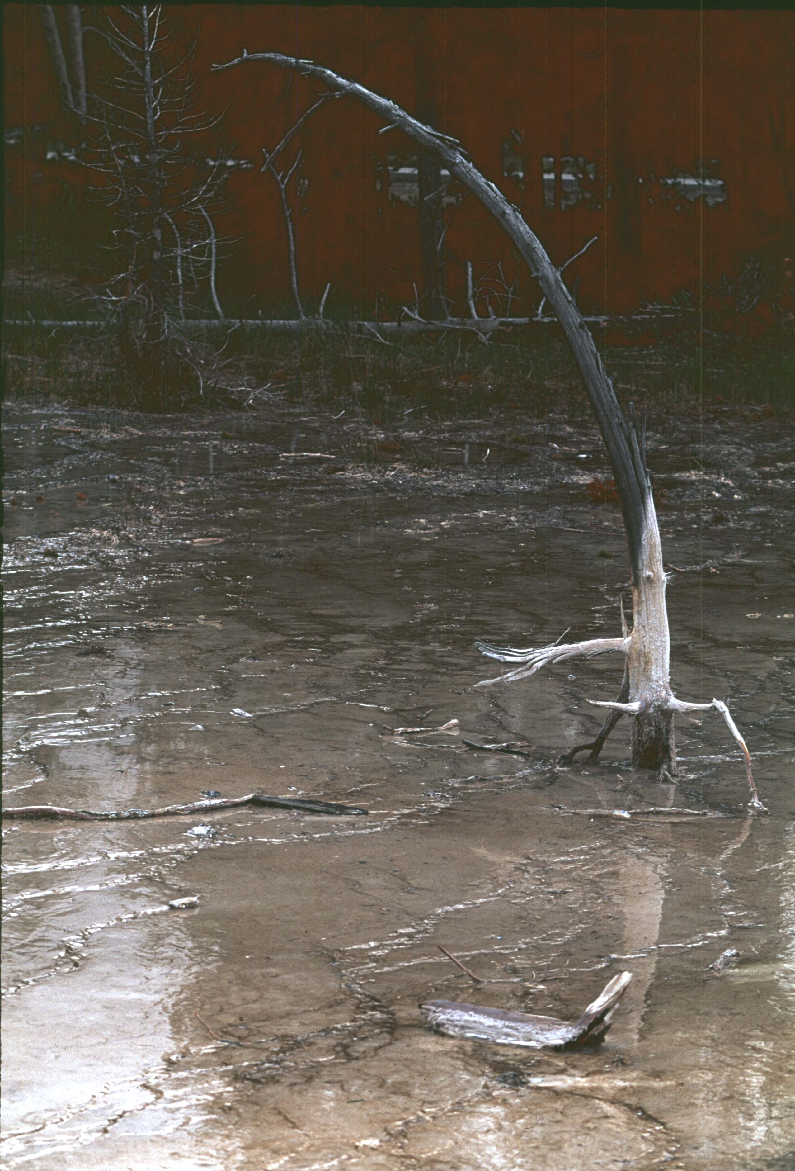 000616 K28 Midway Geyser Basin