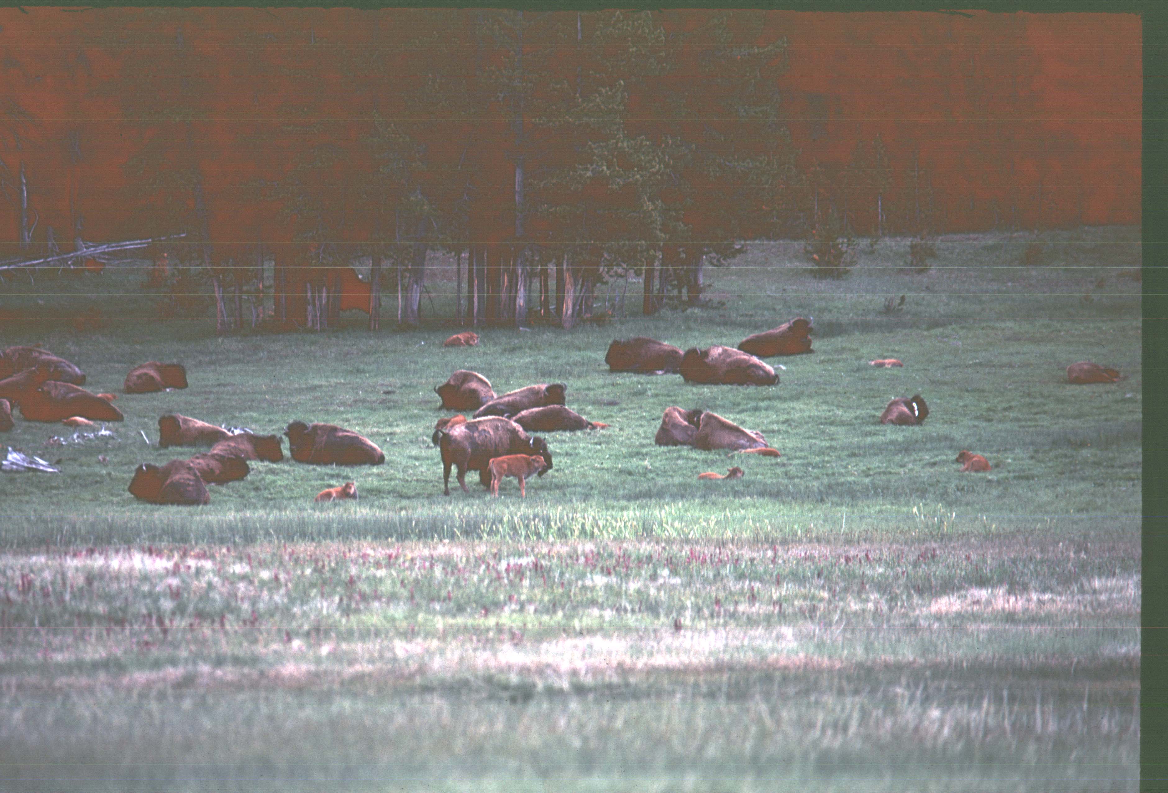000616 K32 Midway Geyser Basin