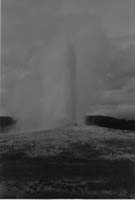 000610 A33 Old Faithful