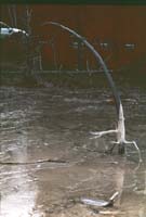 000616 K27 Midway Geyser Basin