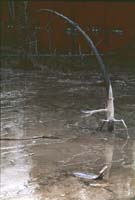 000616 K28 Midway Geyser Basin