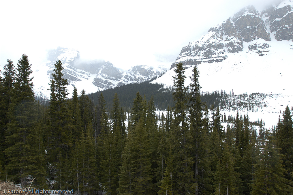    Icefield Parkway, Banff National Park, Alberta Canada