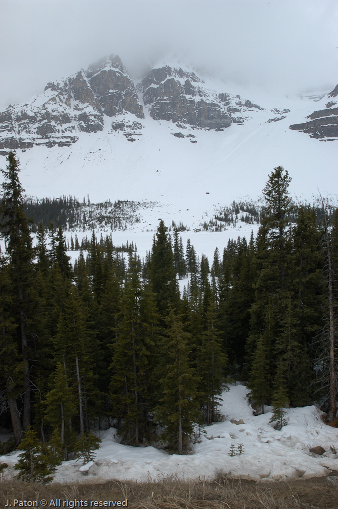    Icefield Parkway, Banff National Park, Alberta Canada