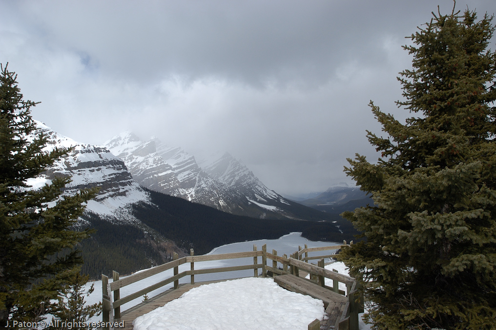    Icefield Parkway, Banff National Park, Alberta Canada