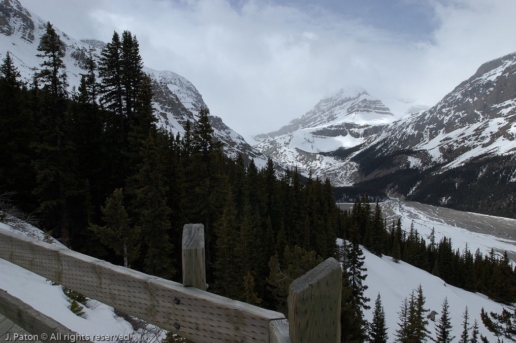    Icefield Parkway, Banff National Park, Alberta Canada