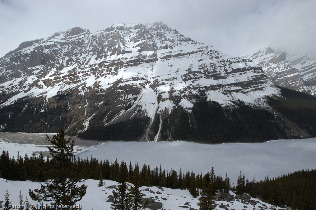    Icefield Parkway, Banff National Park, Alberta Canada