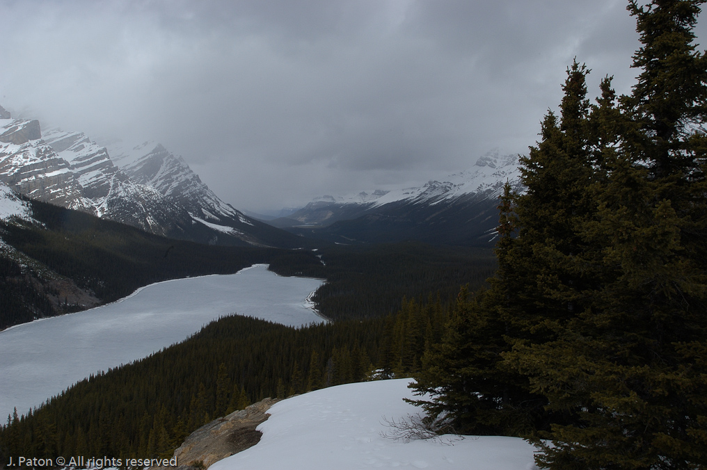    Icefield Parkway, Banff National Park, Alberta Canada