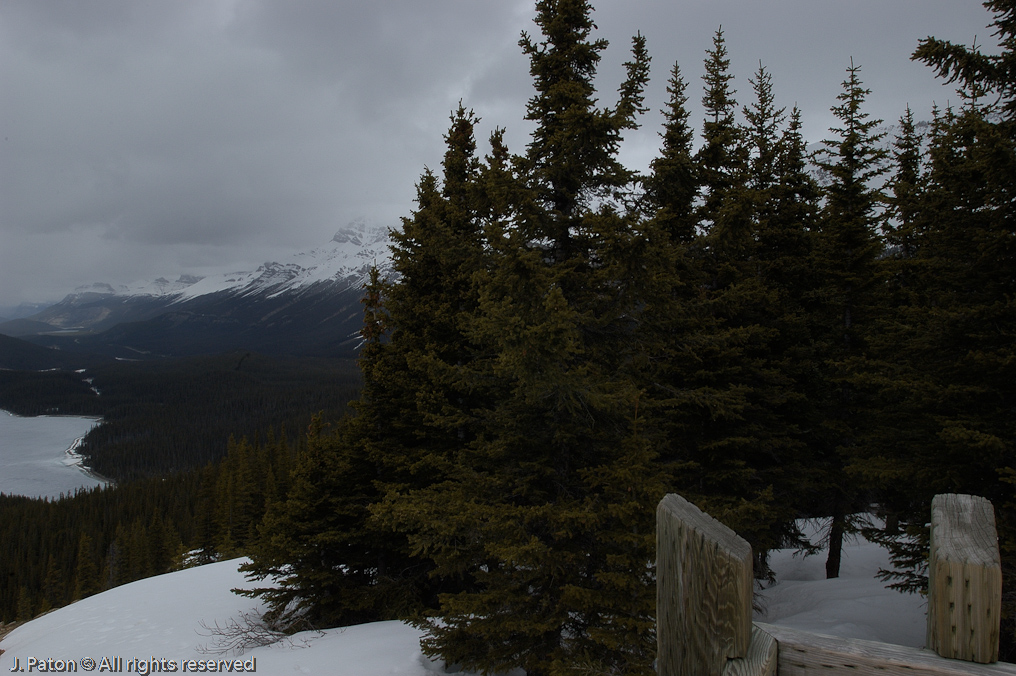   Icefield Parkway, Banff National Park, Alberta Canada