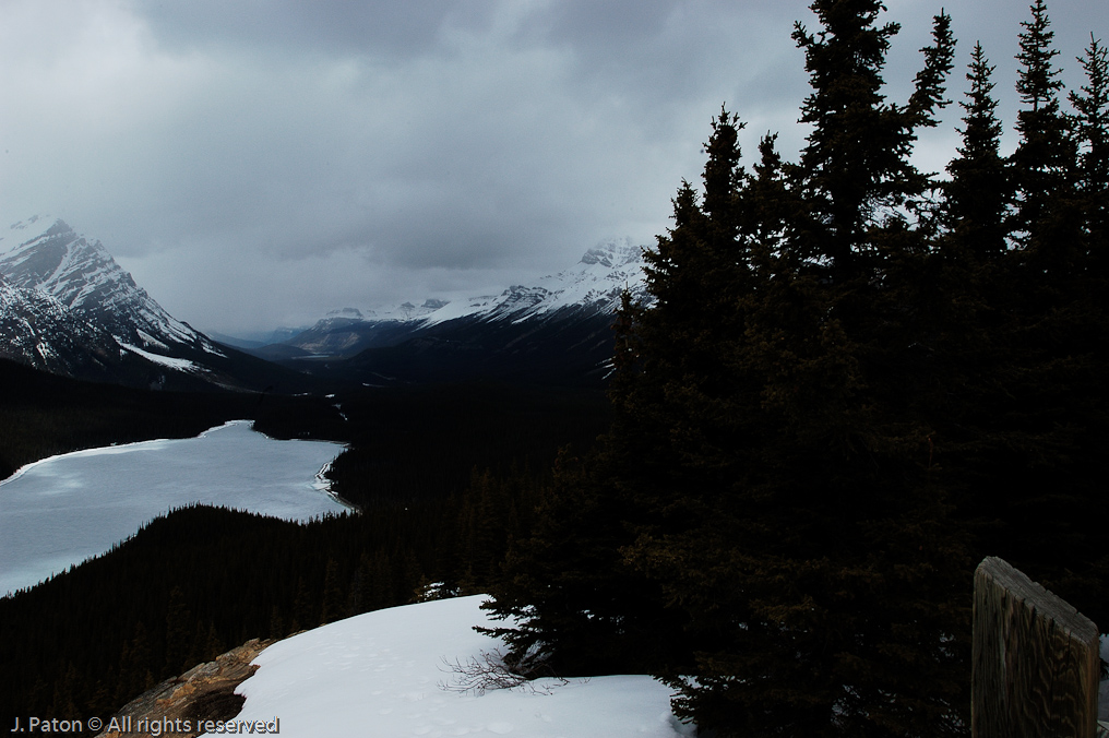    Icefield Parkway, Banff National Park, Alberta Canada