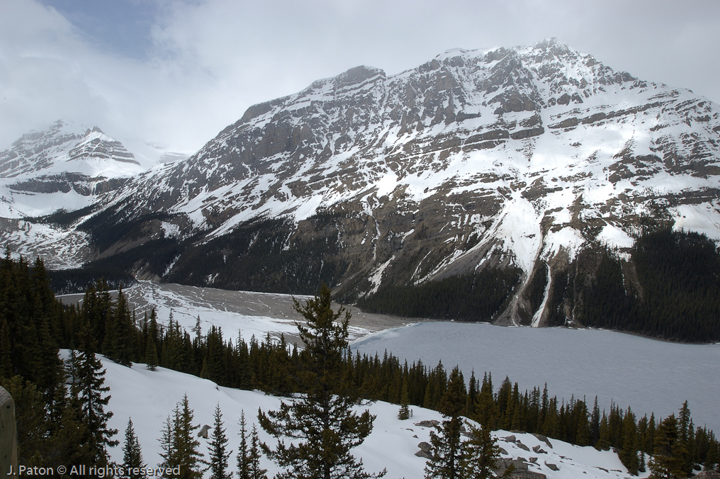    Icefield Parkway, Banff National Park, Alberta Canada