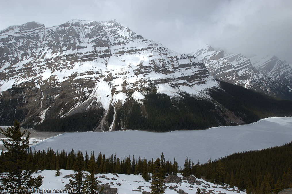    Icefield Parkway, Banff National Park, Alberta Canada