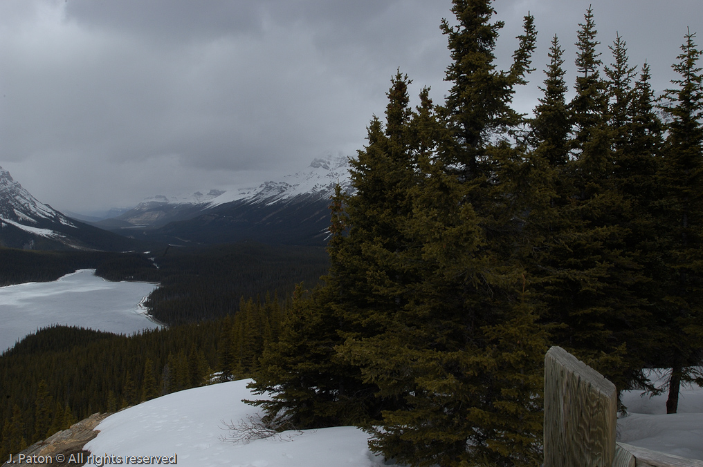    Icefield Parkway, Banff National Park, Alberta Canada