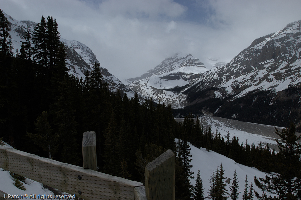    Icefield Parkway, Banff National Park, Alberta Canada