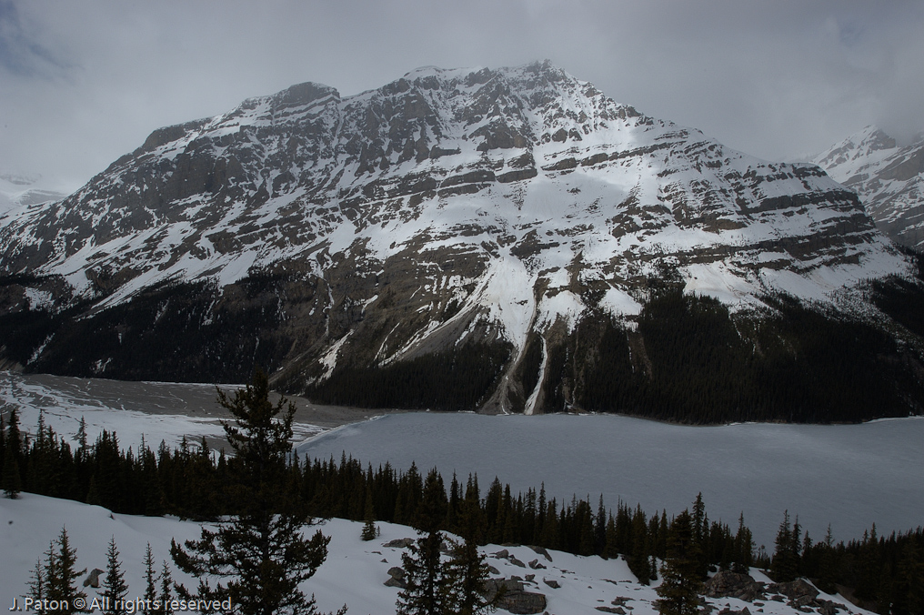    Icefield Parkway, Banff National Park, Alberta Canada