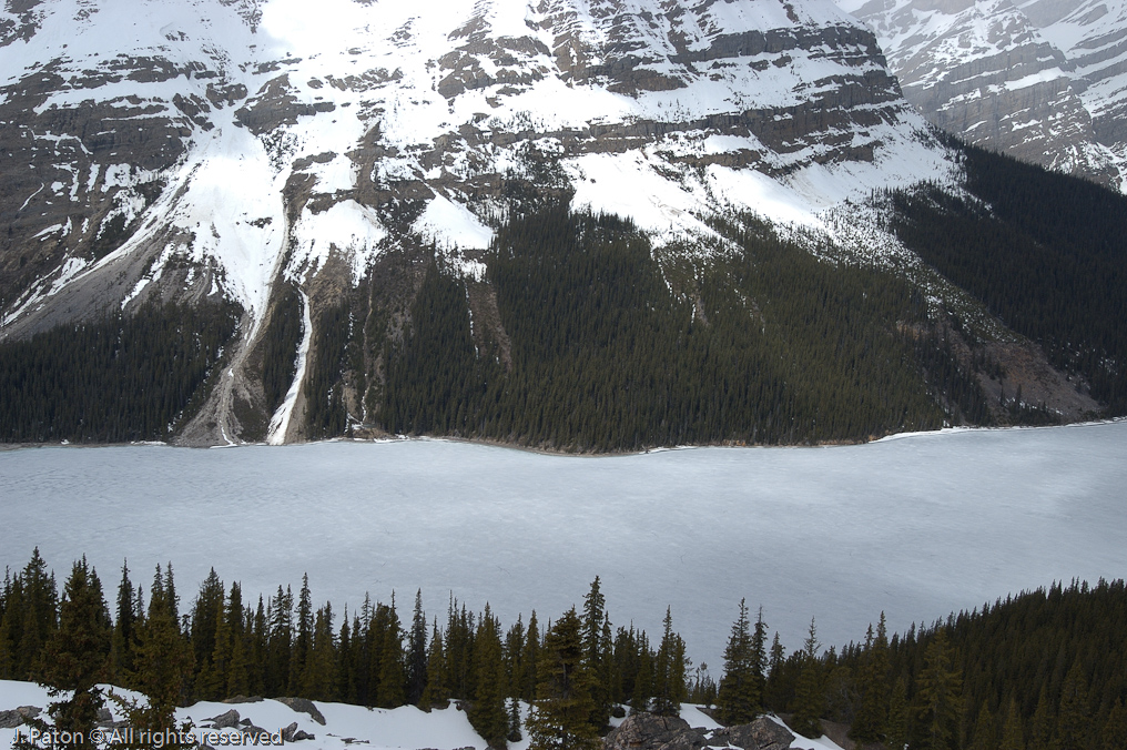    Icefield Parkway, Banff National Park, Alberta Canada