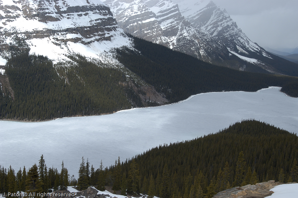    Icefield Parkway, Banff National Park, Alberta Canada