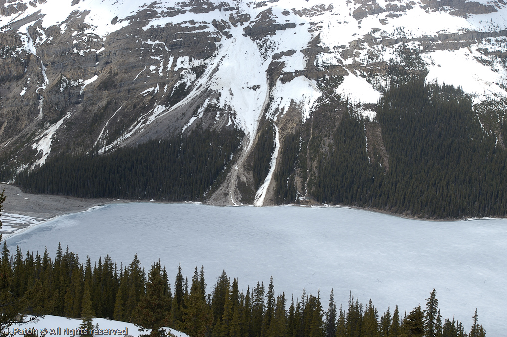    Icefield Parkway, Banff National Park, Alberta Canada