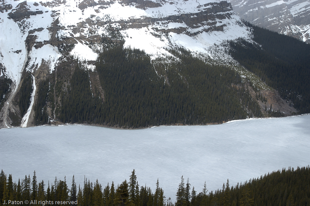    Icefield Parkway, Banff National Park, Alberta Canada
