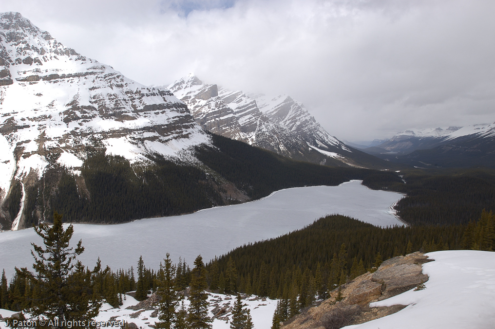    Icefield Parkway, Banff National Park, Alberta Canada