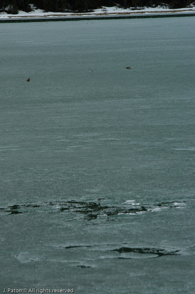    Icefield Parkway, Banff National Park, Alberta Canada