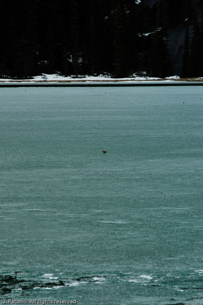    Icefield Parkway, Banff National Park, Alberta Canada