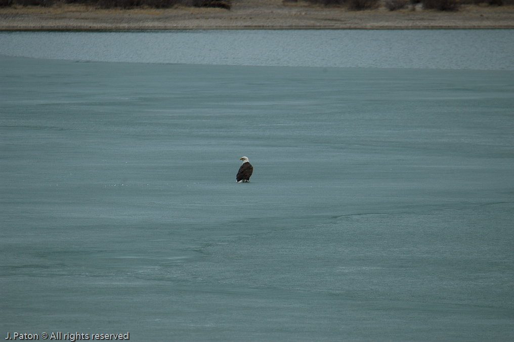   Icefield Parkway, Banff National Park, Alberta Canada