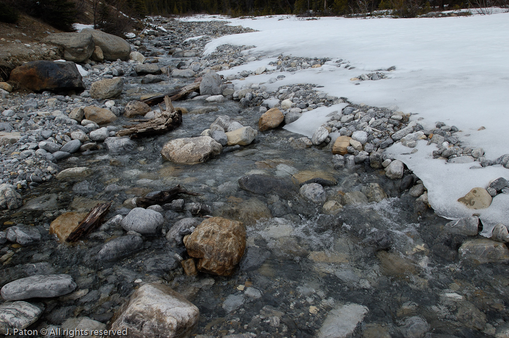    Icefield Parkway, Banff National Park, Alberta Canada