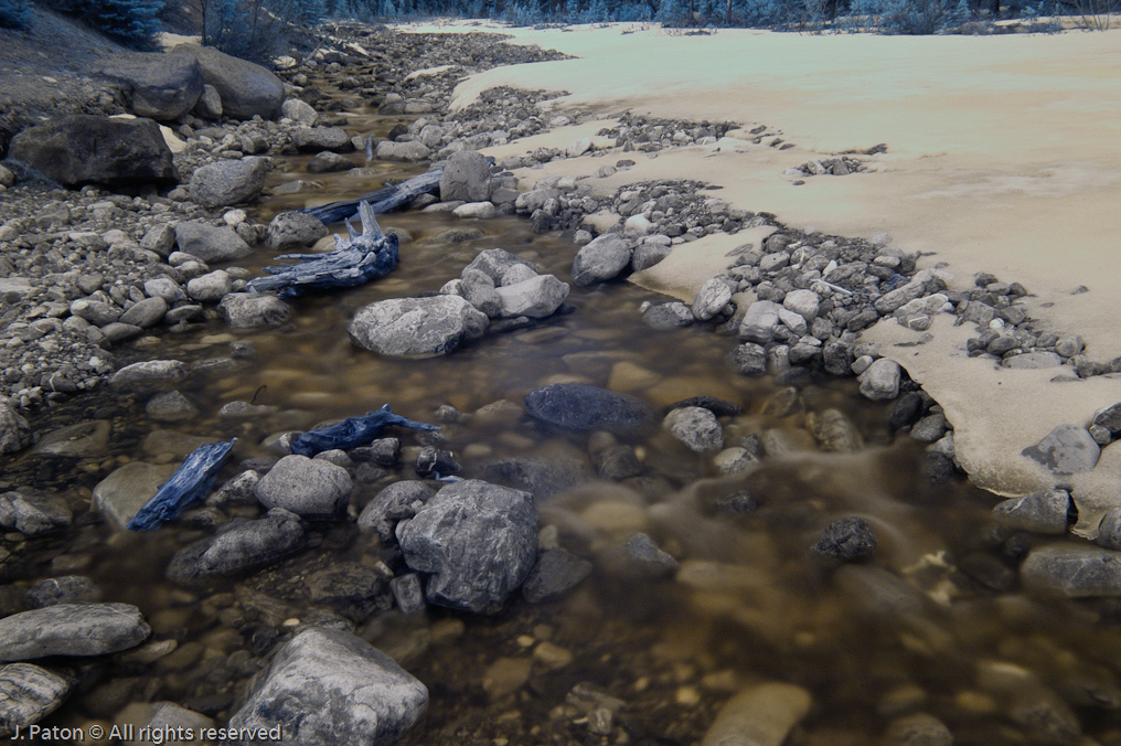 Stream in Infrared   Icefield Parkway, Banff National Park, Alberta Canada