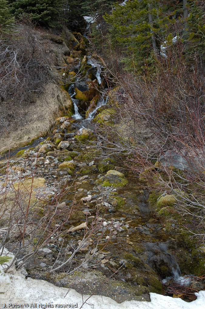    Icefield Parkway, Banff National Park, Alberta Canada