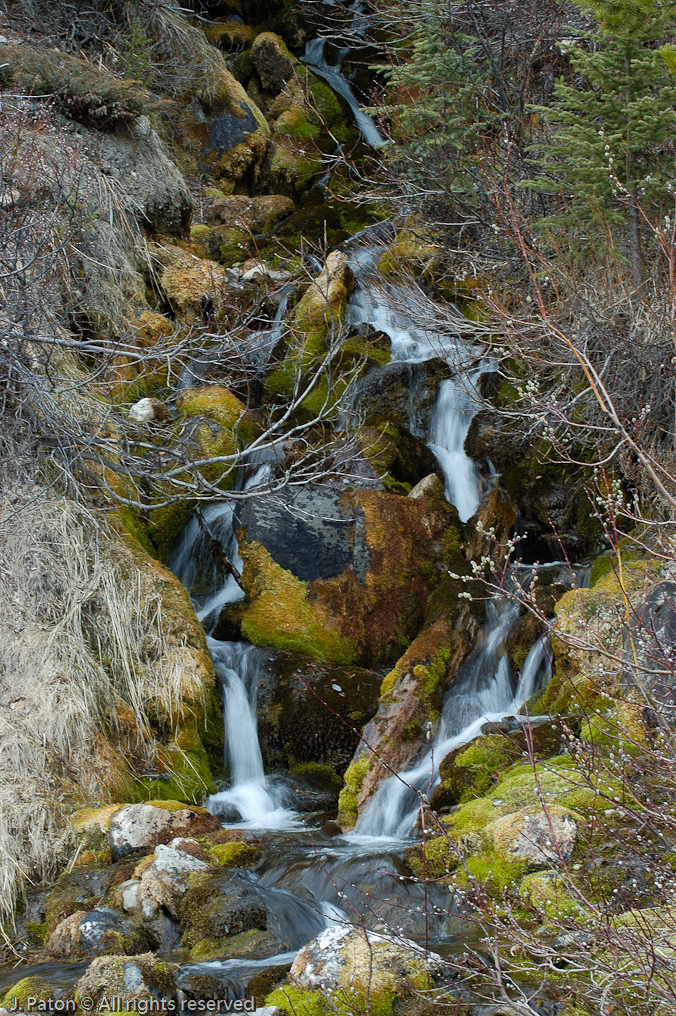    Icefield Parkway, Banff National Park, Alberta Canada
