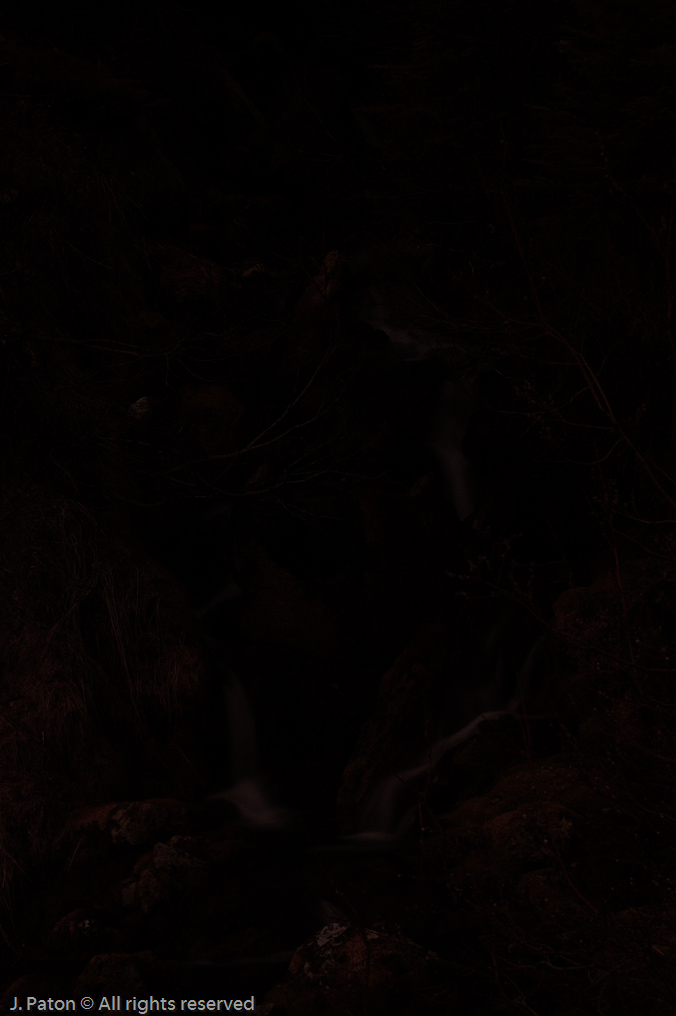    Icefield Parkway, Banff National Park, Alberta Canada