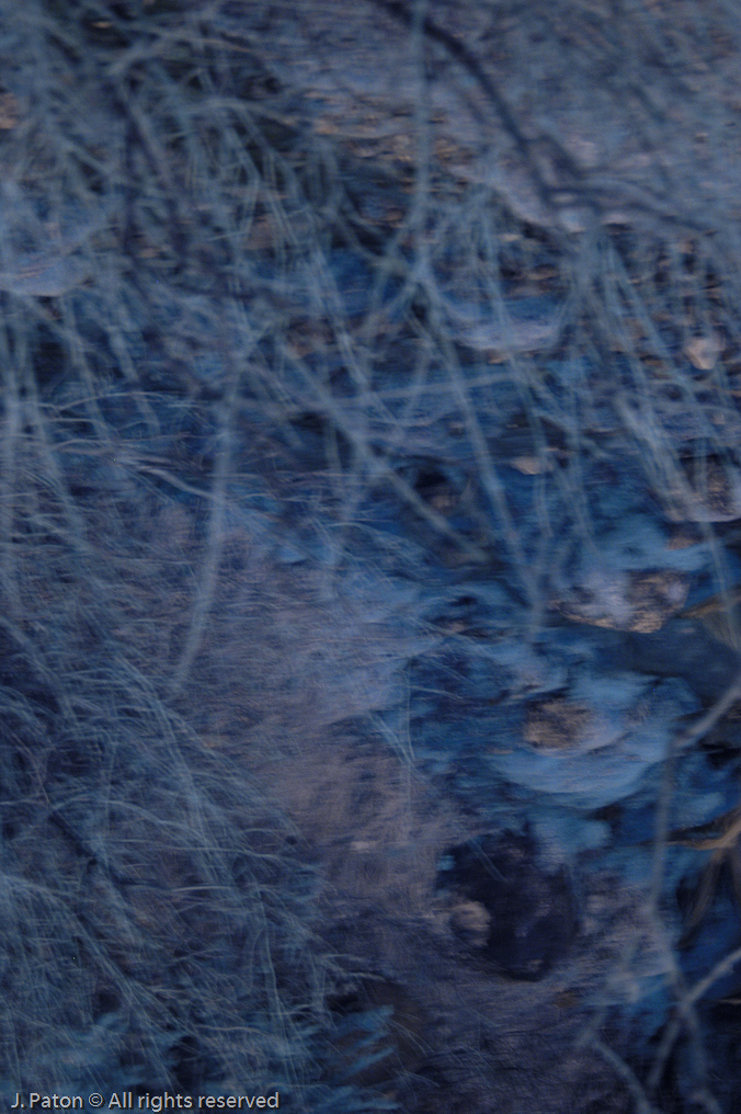    Icefield Parkway, Banff National Park, Alberta Canada