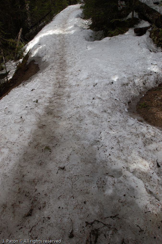 Trail to the Lake Agnes Teahouse   Lake Louise, Banff National Park, Albert, Canada