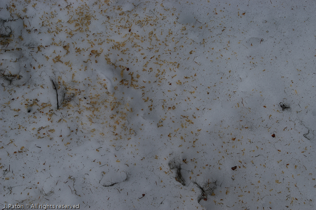    Lake Louise, Banff National Park, Albert, Canada